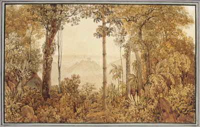 View Overlooking Rio de Janeiro from the Tijuca Forest by Thomas Ender