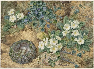 Still Life of a Bird