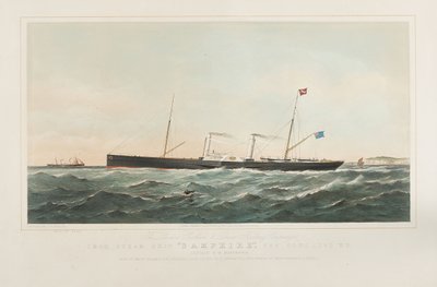 The SS 