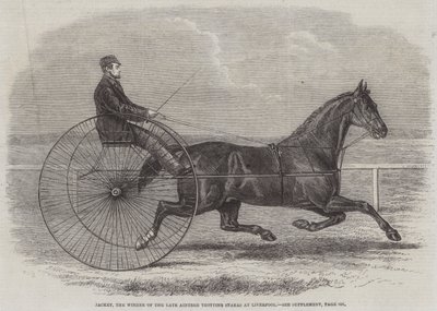 Jackey, the Winner of the late Aintree Trotting Stakes at Liverpool by Thomas Harrington Wilson
