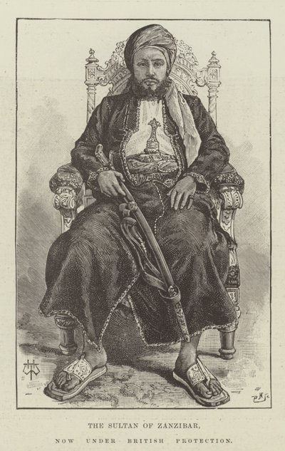 The Sultan of Zanzibar, now under British Protection by Thomas Harrington Wilson