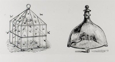 Wasp and Fly Traps, from Thomas Mawson