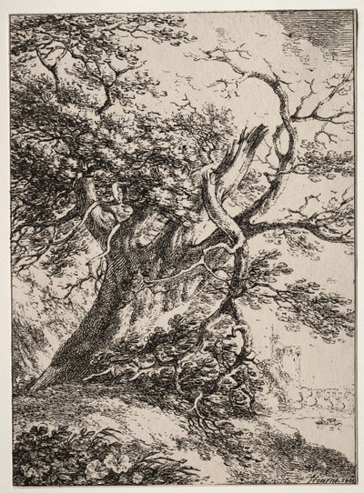 Specimens of Polyautography: Landscape with an Oak Tree, 1803 by Thomas Hearne
