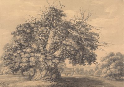 The Chestnut Tree at Little Wymondley, Hertfordshire by Thomas Hearne