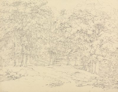 Trees in Ashtead Park, Surrey by Thomas Hearne