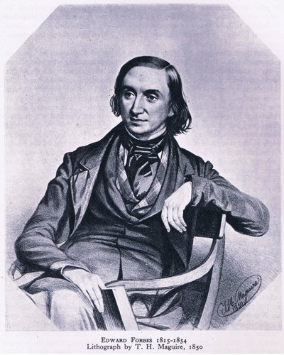 Edward Forbes, Nature in Britain published by Collins by Thomas Herbert Maguire