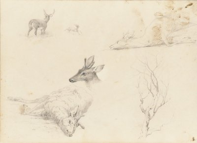 Sketchbook of Landscape and Animal Subjects, 1860-64 by Thomas Hewes Hinckley