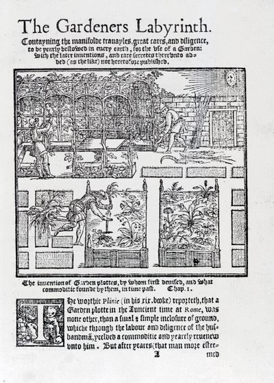 Arbour built as a shade against the sun and planting in raised beds, from The Gardeners Labyrinth, 1577 by Thomas Hill