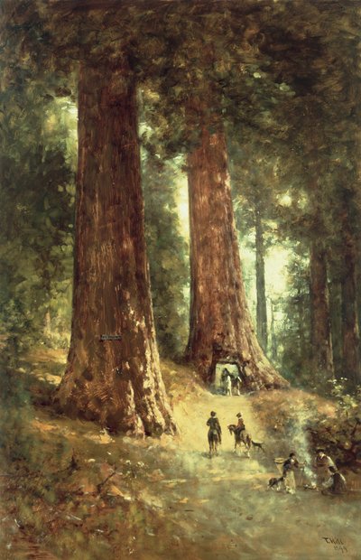 In the Redwoods by Thomas Hill