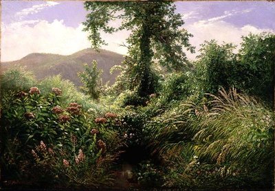 Catskill Mountains, Shandaken, New York by Thomas Hiram Hotchkiss