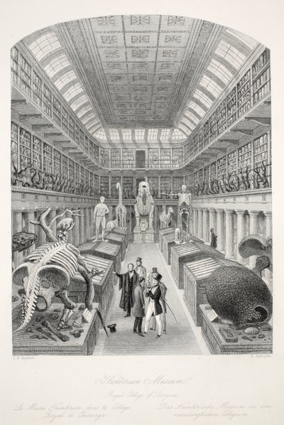Hunterian Museum, Royal College of Surgeons, from 