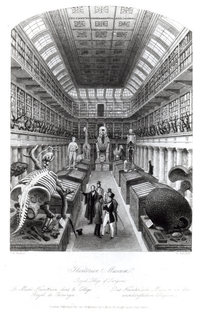 The Hunterian Museum, Illustration to 