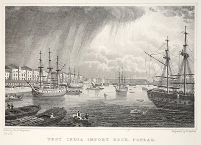West India Docks, Isle of Dogs, from London and its Environs in the Nineteenth Century by Thomas Hosmer Shepherd