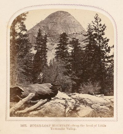 Sugar-Loaf Mountain - from the head of Little Yosemite Valley by Thomas Houseworth