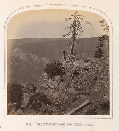 Wahwonah — Or Big Tree Point by Thomas Houseworth