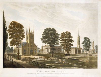 New Haven, Conn. Comprising A View Of The Episcopal & Presbyterian Churches, State House & Yale College by Thomas Illman