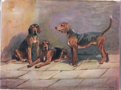 Dogs, illustration from 