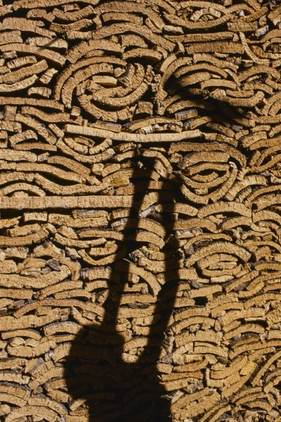 Shadow of man stacking cork for export from Morocco by Thomas J. Abercrombie
