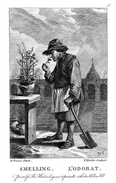 Gardener Smelling a Carnation by Thomas Kitchin