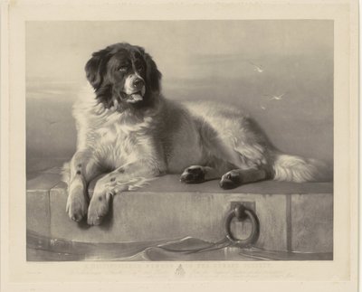 Portrait of the Rescue Dog Bob, Lying on a Pier (title on object: A Distinguished Member of the Humane Society) by Thomas Landseer