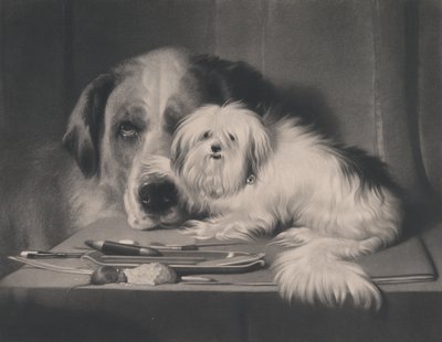 The Lion-Dog of Malta--The Last of His Tribe by Thomas Landseer