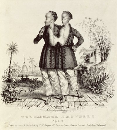 The Siamese Brothers, Aged 18, printed by Charles Hullmandel by Thomas Mann Baynes