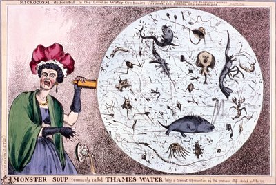 Monster soup commonly called Thames water by Thomas McLean