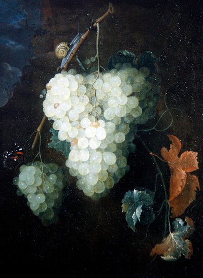 A Still Life with Grapes, a Red Admiral and a Snail by Thomas Mertens