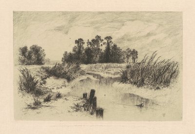 In the Newark Meadows by Thomas Moran