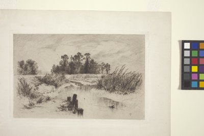 Marshy Landscape with Stream by Thomas Moran