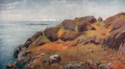 Coast of Vancouver Island by Thomas Mower Martin