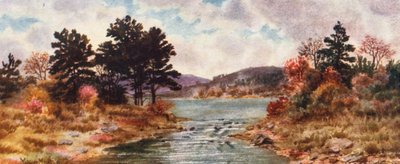 Fall of the Year, Nova Scotia by Thomas Mower Martin