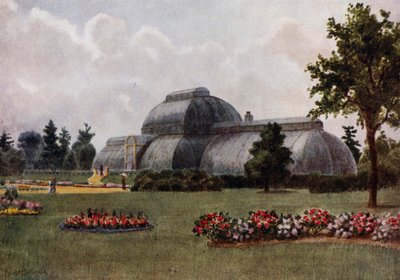 Kew Gardens: The Palm House by Thomas Mower Martin