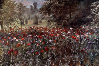 Kew Gardens: The Poppy Beds by Thomas Mower Martin