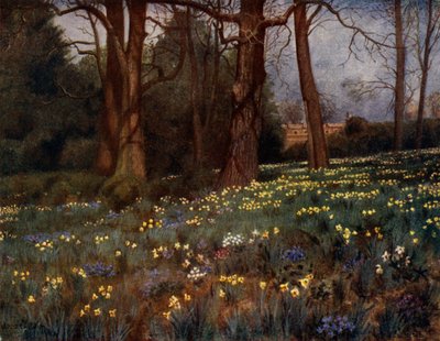 Kew Gardens: The Wild Garden in Spring by Thomas Mower Martin