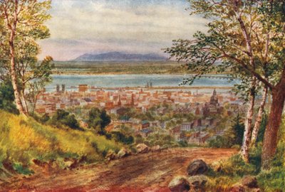 Montreal, the Real St Lawrence from the Mountain by Thomas Mower Martin