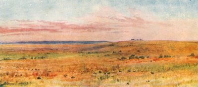Out on the Prairies by Thomas Mower Martin