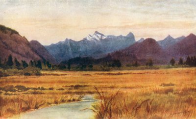 Pitt Meadows, on the Fraser River, British Columbia by Thomas Mower Martin