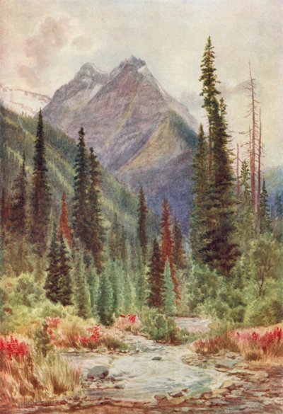 Ross Peak, Selkirk Mountains, British Columbia by Thomas Mower Martin