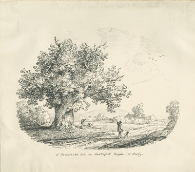 Arley - Shatterfort Height by Thomas Peploe Wood