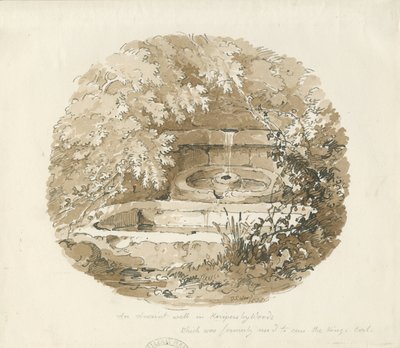 Biddulph - Ancient Well in Knypersley Woods by Thomas Peploe Wood
