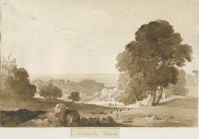 Cannock Chase by Thomas Peploe Wood