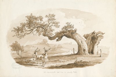 Chartley Hall - Park by Thomas Peploe Wood