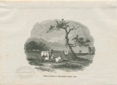 Chartley Hall - Park by Thomas Peploe Wood