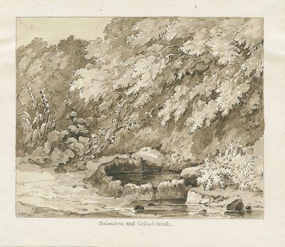 Codsall Wood - Brimstone Well: sepia drawing by Thomas Peploe Wood