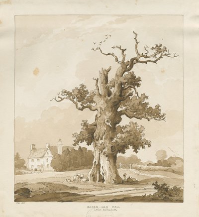 Eccleshall - Baden Old Hall by Thomas Peploe Wood