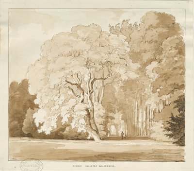 Ingestre - a study of trees by Thomas Peploe Wood