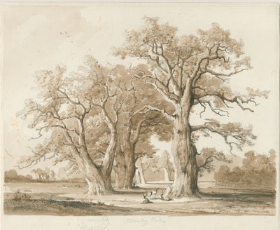Teddesley Hall - Oak Trees by Thomas Peploe Wood