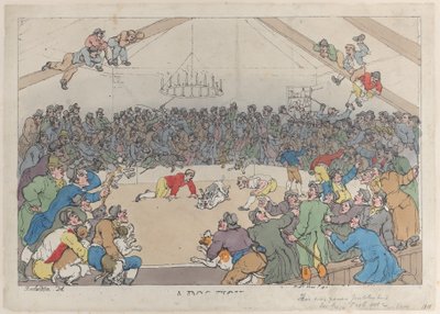A Dog Fight by Thomas Rowlandson