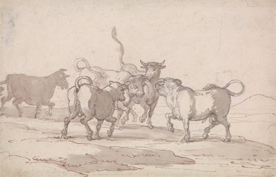 A Group of Five Bulls about to Fight by Thomas Rowlandson